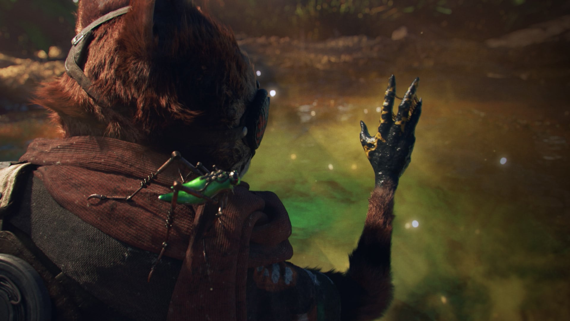 EVOLVE YOUR GAME-PLAY